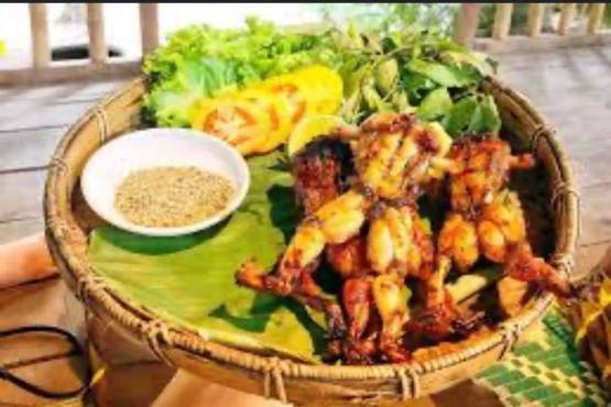 កង្កែបរ៉ូទី