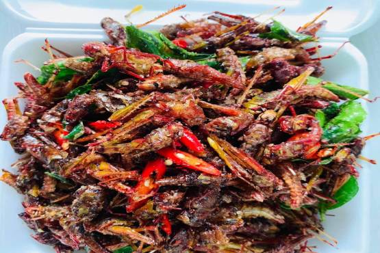 កណ្តូបបំពង