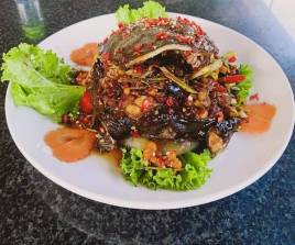 កន្ឋាយអប់អំបិលម្ទេស